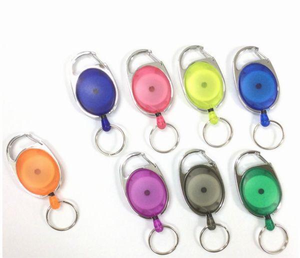 カラーキーバック 楕円 カラーキーバック 楕円